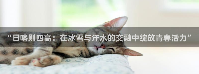 必一运动中国官方网站最新版：“日喀则四高：在冰雪与汗水的交融中绽放青春活力”